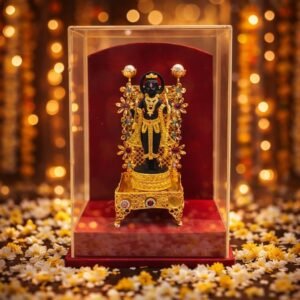 handcrafted lord rama idol, gold plated decorative miniature with acrylic display case